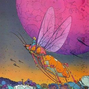 Meet your Posher, Bridget